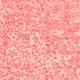 Illustration for article titled This Wallpaper-Like Pattern Isnt Flowers, Its The Smallpox Vaccine
